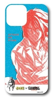 phone case 13
